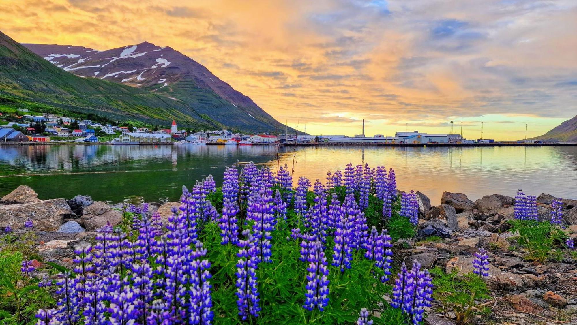 Landakot The Perfect Getaway By Staynorth Siglufjordur 外观 照片